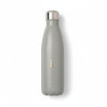 Bullfrog Stainless Steel Water Bottle in Grey
